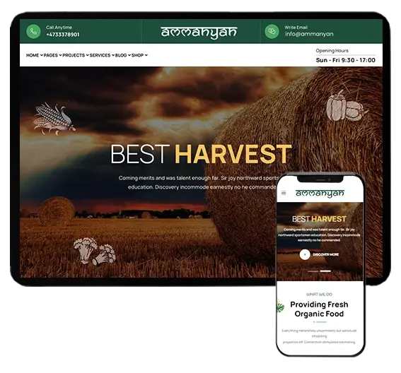 Website Design and Development Services (1)